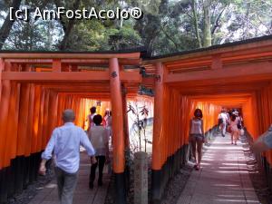 [P46] Kyoto, Fushimi, Altarul Inari, intrarea în Miile de Porți Torii » foto by mprofeanu
 - 
<span class="allrVoted glyphicon glyphicon-heart hidden" id="av738931"></span>
<a class="m-l-10 hidden" id="sv738931" onclick="voting_Foto_DelVot(,738931,8571)" role="button">șterge vot <span class="glyphicon glyphicon-remove"></span></a>
<a id="v9738931" class=" c-red"  onclick="voting_Foto_SetVot(738931)" role="button"><span class="glyphicon glyphicon-heart-empty"></span> <b>LIKE</b> = Votează poza</a> <img class="hidden"  id="f738931W9" src="/imagini/loader.gif" border="0" /><span class="AjErrMes hidden" id="e738931ErM"></span>