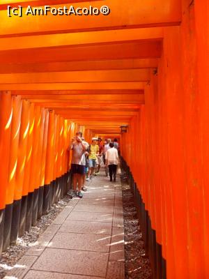 [P47] Kyoto, Fushimi, Altarul Inari, Miile de Porți Torii, joc de umbre și lumini » foto by mprofeanu
 - 
<span class="allrVoted glyphicon glyphicon-heart hidden" id="av738933"></span>
<a class="m-l-10 hidden" id="sv738933" onclick="voting_Foto_DelVot(,738933,8571)" role="button">șterge vot <span class="glyphicon glyphicon-remove"></span></a>
<a id="v9738933" class=" c-red"  onclick="voting_Foto_SetVot(738933)" role="button"><span class="glyphicon glyphicon-heart-empty"></span> <b>LIKE</b> = Votează poza</a> <img class="hidden"  id="f738933W9" src="/imagini/loader.gif" border="0" /><span class="AjErrMes hidden" id="e738933ErM"></span>