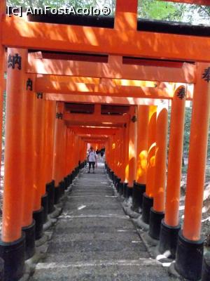 [P49] Kyoto, Fushimi, Altarul Inari, am fost și noi acolo » foto by mprofeanu
 - 
<span class="allrVoted glyphicon glyphicon-heart hidden" id="av738936"></span>
<a class="m-l-10 hidden" id="sv738936" onclick="voting_Foto_DelVot(,738936,8571)" role="button">șterge vot <span class="glyphicon glyphicon-remove"></span></a>
<a id="v9738936" class=" c-red"  onclick="voting_Foto_SetVot(738936)" role="button"><span class="glyphicon glyphicon-heart-empty"></span> <b>LIKE</b> = Votează poza</a> <img class="hidden"  id="f738936W9" src="/imagini/loader.gif" border="0" /><span class="AjErrMes hidden" id="e738936ErM"></span>