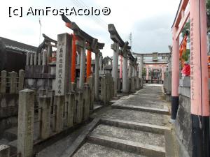 [P51] Kyoto, Fushimi, Altarul Inari, Porți Torii mărginesc aleea ce coboară spre zona centrală » foto by mprofeanu
 - 
<span class="allrVoted glyphicon glyphicon-heart hidden" id="av738939"></span>
<a class="m-l-10 hidden" id="sv738939" onclick="voting_Foto_DelVot(,738939,8571)" role="button">șterge vot <span class="glyphicon glyphicon-remove"></span></a>
<a id="v9738939" class=" c-red"  onclick="voting_Foto_SetVot(738939)" role="button"><span class="glyphicon glyphicon-heart-empty"></span> <b>LIKE</b> = Votează poza</a> <img class="hidden"  id="f738939W9" src="/imagini/loader.gif" border="0" /><span class="AjErrMes hidden" id="e738939ErM"></span>