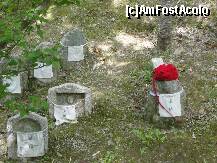 [P28] Un mic cimitir .... » foto by dananecula*
 - 
<span class="allrVoted glyphicon glyphicon-heart hidden" id="av269232"></span>
<a class="m-l-10 hidden" id="sv269232" onclick="voting_Foto_DelVot(,269232,8571)" role="button">șterge vot <span class="glyphicon glyphicon-remove"></span></a>
<a id="v9269232" class=" c-red"  onclick="voting_Foto_SetVot(269232)" role="button"><span class="glyphicon glyphicon-heart-empty"></span> <b>LIKE</b> = Votează poza</a> <img class="hidden"  id="f269232W9" src="/imagini/loader.gif" border="0" /><span class="AjErrMes hidden" id="e269232ErM"></span>
