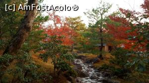 [P10] Toamna. Momiji » foto by Tesaria
 - 
<span class="allrVoted glyphicon glyphicon-heart hidden" id="av956392"></span>
<a class="m-l-10 hidden" id="sv956392" onclick="voting_Foto_DelVot(,956392,8571)" role="button">șterge vot <span class="glyphicon glyphicon-remove"></span></a>
<a id="v9956392" class=" c-red"  onclick="voting_Foto_SetVot(956392)" role="button"><span class="glyphicon glyphicon-heart-empty"></span> <b>LIKE</b> = Votează poza</a> <img class="hidden"  id="f956392W9" src="/imagini/loader.gif" border="0" /><span class="AjErrMes hidden" id="e956392ErM"></span>