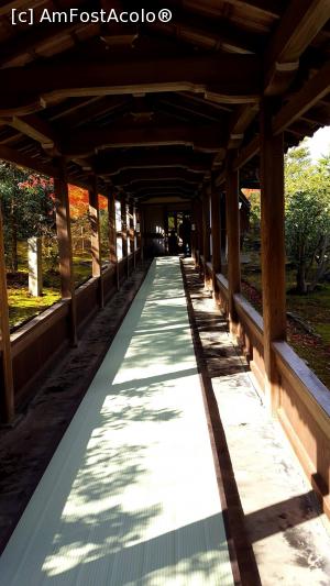 [P11] Tenryuji. 300 de yeni în plus sau cum să ai o zonă doar pentru tine » foto by Tesaria
 - 
<span class="allrVoted glyphicon glyphicon-heart hidden" id="av973316"></span>
<a class="m-l-10 hidden" id="sv973316" onclick="voting_Foto_DelVot(,973316,8571)" role="button">șterge vot <span class="glyphicon glyphicon-remove"></span></a>
<a id="v9973316" class=" c-red"  onclick="voting_Foto_SetVot(973316)" role="button"><span class="glyphicon glyphicon-heart-empty"></span> <b>LIKE</b> = Votează poza</a> <img class="hidden"  id="f973316W9" src="/imagini/loader.gif" border="0" /><span class="AjErrMes hidden" id="e973316ErM"></span>