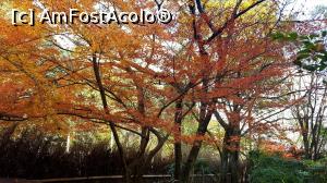[P17] Tot momiji » foto by Tesaria
 - 
<span class="allrVoted glyphicon glyphicon-heart hidden" id="av973322"></span>
<a class="m-l-10 hidden" id="sv973322" onclick="voting_Foto_DelVot(,973322,8571)" role="button">șterge vot <span class="glyphicon glyphicon-remove"></span></a>
<a id="v9973322" class=" c-red"  onclick="voting_Foto_SetVot(973322)" role="button"><span class="glyphicon glyphicon-heart-empty"></span> <b>LIKE</b> = Votează poza</a> <img class="hidden"  id="f973322W9" src="/imagini/loader.gif" border="0" /><span class="AjErrMes hidden" id="e973322ErM"></span>