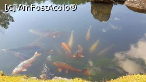 [P18] Pești koi de la Tenryuji » foto by Tesaria
 - 
<span class="allrVoted glyphicon glyphicon-heart hidden" id="av973323"></span>
<a class="m-l-10 hidden" id="sv973323" onclick="voting_Foto_DelVot(,973323,8571)" role="button">șterge vot <span class="glyphicon glyphicon-remove"></span></a>
<a id="v9973323" class=" c-red"  onclick="voting_Foto_SetVot(973323)" role="button"><span class="glyphicon glyphicon-heart-empty"></span> <b>LIKE</b> = Votează poza</a> <img class="hidden"  id="f973323W9" src="/imagini/loader.gif" border="0" /><span class="AjErrMes hidden" id="e973323ErM"></span>