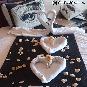[P06]  -- <small>// FĂRĂ DESCRIERE</small> » foto by Iuliuca
 - 
<span class="allrVoted glyphicon glyphicon-heart hidden" id="av633046"></span>
<a class="m-l-10 hidden" id="sv633046" onclick="voting_Foto_DelVot(,633046,8572)" role="button">șterge vot <span class="glyphicon glyphicon-remove"></span></a>
<a id="v9633046" class=" c-red"  onclick="voting_Foto_SetVot(633046)" role="button"><span class="glyphicon glyphicon-heart-empty"></span> <b>LIKE</b> = Votează poza</a> <img class="hidden"  id="f633046W9" src="/imagini/loader.gif" border="0" /><span class="AjErrMes hidden" id="e633046ErM"></span>