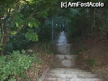 [P23] E si multa verdeata, sunt adevarate 'paduri galerii' in aceasta statiune » foto by dorgo
 - 
<span class="allrVoted glyphicon glyphicon-heart hidden" id="av332046"></span>
<a class="m-l-10 hidden" id="sv332046" onclick="voting_Foto_DelVot(,332046,8580)" role="button">șterge vot <span class="glyphicon glyphicon-remove"></span></a>
<a id="v9332046" class=" c-red"  onclick="voting_Foto_SetVot(332046)" role="button"><span class="glyphicon glyphicon-heart-empty"></span> <b>LIKE</b> = Votează poza</a> <img class="hidden"  id="f332046W9" src="/imagini/loader.gif" border="0" /><span class="AjErrMes hidden" id="e332046ErM"></span>