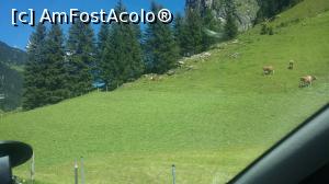 [P18] Văcuţe la păscut pe lângă şoseaua Zillerstrasse ce urcă la lacul Sghlegeisspeicher din apropierea oraşului-staţiune Mayrhofen, Zillertal, Tirol, Austria.  » foto by traian.leuca †
 - 
<span class="allrVoted glyphicon glyphicon-heart hidden" id="av901546"></span>
<a class="m-l-10 hidden" id="sv901546" onclick="voting_Foto_DelVot(,901546,8584)" role="button">șterge vot <span class="glyphicon glyphicon-remove"></span></a>
<a id="v9901546" class=" c-red"  onclick="voting_Foto_SetVot(901546)" role="button"><span class="glyphicon glyphicon-heart-empty"></span> <b>LIKE</b> = Votează poza</a> <img class="hidden"  id="f901546W9" src="/imagini/loader.gif" border="0" /><span class="AjErrMes hidden" id="e901546ErM"></span>