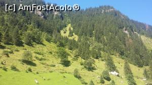 [P21] Imagine de pe Şoseaua Zillerstrasse ce urcă la lacul Sghlegeisspeicher din apropierea oraşului-staţiune Mayrhofen, Zillertal, Tirol, Austria.  » foto by traian.leuca †
 - 
<span class="allrVoted glyphicon glyphicon-heart hidden" id="av901552"></span>
<a class="m-l-10 hidden" id="sv901552" onclick="voting_Foto_DelVot(,901552,8584)" role="button">șterge vot <span class="glyphicon glyphicon-remove"></span></a>
<a id="v9901552" class=" c-red"  onclick="voting_Foto_SetVot(901552)" role="button"><span class="glyphicon glyphicon-heart-empty"></span> <b>LIKE</b> = Votează poza</a> <img class="hidden"  id="f901552W9" src="/imagini/loader.gif" border="0" /><span class="AjErrMes hidden" id="e901552ErM"></span>