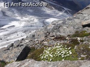 [P53] Și ne-am încumetat. La început am dat de floricele și a fost bine.  » foto by Aurici
 - 
<span class="allrVoted glyphicon glyphicon-heart hidden" id="av1037826"></span>
<a class="m-l-10 hidden" id="sv1037826" onclick="voting_Foto_DelVot(,1037826,8584)" role="button">șterge vot <span class="glyphicon glyphicon-remove"></span></a>
<a id="v91037826" class=" c-red"  onclick="voting_Foto_SetVot(1037826)" role="button"><span class="glyphicon glyphicon-heart-empty"></span> <b>LIKE</b> = Votează poza</a> <img class="hidden"  id="f1037826W9" src="/imagini/loader.gif" border="0" /><span class="AjErrMes hidden" id="e1037826ErM"></span>