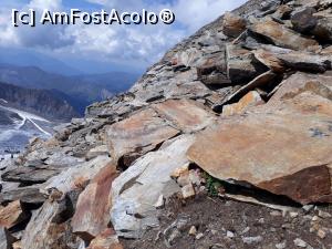 [P58] Ne întoarcem și găsim alte flori frumoase.  » foto by Aurici
 - 
<span class="allrVoted glyphicon glyphicon-heart hidden" id="av1037833"></span>
<a class="m-l-10 hidden" id="sv1037833" onclick="voting_Foto_DelVot(,1037833,8584)" role="button">șterge vot <span class="glyphicon glyphicon-remove"></span></a>
<a id="v91037833" class=" c-red"  onclick="voting_Foto_SetVot(1037833)" role="button"><span class="glyphicon glyphicon-heart-empty"></span> <b>LIKE</b> = Votează poza</a> <img class="hidden"  id="f1037833W9" src="/imagini/loader.gif" border="0" /><span class="AjErrMes hidden" id="e1037833ErM"></span>