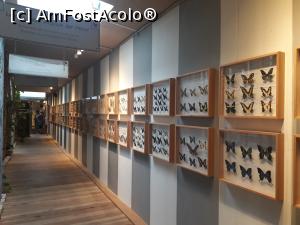 [P09] Alături de casa cu fundul în sus din Vomp, expoziția de fluturi.  » foto by Aurici
 - 
<span class="allrVoted glyphicon glyphicon-heart hidden" id="av1039116"></span>
<a class="m-l-10 hidden" id="sv1039116" onclick="voting_Foto_DelVot(,1039116,8584)" role="button">șterge vot <span class="glyphicon glyphicon-remove"></span></a>
<a id="v91039116" class=" c-red"  onclick="voting_Foto_SetVot(1039116)" role="button"><span class="glyphicon glyphicon-heart-empty"></span> <b>LIKE</b> = Votează poza</a> <img class="hidden"  id="f1039116W9" src="/imagini/loader.gif" border="0" /><span class="AjErrMes hidden" id="e1039116ErM"></span>