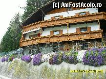 [P113] Urcand spre Hart im Zillertal.O alta casa la sosea. » foto by adryana
 - 
<span class="allrVoted glyphicon glyphicon-heart hidden" id="av315130"></span>
<a class="m-l-10 hidden" id="sv315130" onclick="voting_Foto_DelVot(,315130,8584)" role="button">șterge vot <span class="glyphicon glyphicon-remove"></span></a>
<a id="v9315130" class=" c-red"  onclick="voting_Foto_SetVot(315130)" role="button"><span class="glyphicon glyphicon-heart-empty"></span> <b>LIKE</b> = Votează poza</a> <img class="hidden"  id="f315130W9" src="/imagini/loader.gif" border="0" /><span class="AjErrMes hidden" id="e315130ErM"></span>