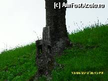 [P128] un scaun. » foto by adryana
 - 
<span class="allrVoted glyphicon glyphicon-heart hidden" id="av315145"></span>
<a class="m-l-10 hidden" id="sv315145" onclick="voting_Foto_DelVot(,315145,8584)" role="button">șterge vot <span class="glyphicon glyphicon-remove"></span></a>
<a id="v9315145" class=" c-red"  onclick="voting_Foto_SetVot(315145)" role="button"><span class="glyphicon glyphicon-heart-empty"></span> <b>LIKE</b> = Votează poza</a> <img class="hidden"  id="f315145W9" src="/imagini/loader.gif" border="0" /><span class="AjErrMes hidden" id="e315145ErM"></span>