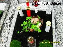 [P165] in curtea bisericii din Hart im Zillertal, intr-o zi sfanta de Pasti. » foto by adryana
 - 
<span class="allrVoted glyphicon glyphicon-heart hidden" id="av315182"></span>
<a class="m-l-10 hidden" id="sv315182" onclick="voting_Foto_DelVot(,315182,8584)" role="button">șterge vot <span class="glyphicon glyphicon-remove"></span></a>
<a id="v9315182" class=" c-red"  onclick="voting_Foto_SetVot(315182)" role="button"><span class="glyphicon glyphicon-heart-empty"></span> <b>LIKE</b> = Votează poza</a> <img class="hidden"  id="f315182W9" src="/imagini/loader.gif" border="0" /><span class="AjErrMes hidden" id="e315182ErM"></span>