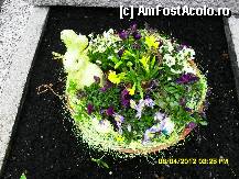 [P166] pe unul dintre mormintele din curtea bisericii din Hart im Zillertal, intr-o zi sfanta de Pasti. » foto by adryana
 - 
<span class="allrVoted glyphicon glyphicon-heart hidden" id="av315183"></span>
<a class="m-l-10 hidden" id="sv315183" onclick="voting_Foto_DelVot(,315183,8584)" role="button">șterge vot <span class="glyphicon glyphicon-remove"></span></a>
<a id="v9315183" class=" c-red"  onclick="voting_Foto_SetVot(315183)" role="button"><span class="glyphicon glyphicon-heart-empty"></span> <b>LIKE</b> = Votează poza</a> <img class="hidden"  id="f315183W9" src="/imagini/loader.gif" border="0" /><span class="AjErrMes hidden" id="e315183ErM"></span>