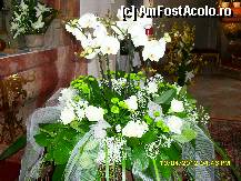 [P180] in biserica. » foto by adryana
 - 
<span class="allrVoted glyphicon glyphicon-heart hidden" id="av315197"></span>
<a class="m-l-10 hidden" id="sv315197" onclick="voting_Foto_DelVot(,315197,8584)" role="button">șterge vot <span class="glyphicon glyphicon-remove"></span></a>
<a id="v9315197" class=" c-red"  onclick="voting_Foto_SetVot(315197)" role="button"><span class="glyphicon glyphicon-heart-empty"></span> <b>LIKE</b> = Votează poza</a> <img class="hidden"  id="f315197W9" src="/imagini/loader.gif" border="0" /><span class="AjErrMes hidden" id="e315197ErM"></span>