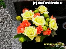 [P193] pe un alt mormant din curtea bisericii. » foto by adryana
 - 
<span class="allrVoted glyphicon glyphicon-heart hidden" id="av315210"></span>
<a class="m-l-10 hidden" id="sv315210" onclick="voting_Foto_DelVot(,315210,8584)" role="button">șterge vot <span class="glyphicon glyphicon-remove"></span></a>
<a id="v9315210" class=" c-red"  onclick="voting_Foto_SetVot(315210)" role="button"><span class="glyphicon glyphicon-heart-empty"></span> <b>LIKE</b> = Votează poza</a> <img class="hidden"  id="f315210W9" src="/imagini/loader.gif" border="0" /><span class="AjErrMes hidden" id="e315210ErM"></span>