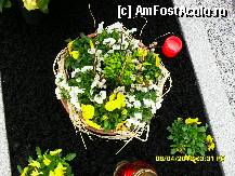 [P194] pe un alt mormant din curtea bisericii. » foto by adryana
 - 
<span class="allrVoted glyphicon glyphicon-heart hidden" id="av315211"></span>
<a class="m-l-10 hidden" id="sv315211" onclick="voting_Foto_DelVot(,315211,8584)" role="button">șterge vot <span class="glyphicon glyphicon-remove"></span></a>
<a id="v9315211" class=" c-red"  onclick="voting_Foto_SetVot(315211)" role="button"><span class="glyphicon glyphicon-heart-empty"></span> <b>LIKE</b> = Votează poza</a> <img class="hidden"  id="f315211W9" src="/imagini/loader.gif" border="0" /><span class="AjErrMes hidden" id="e315211ErM"></span>