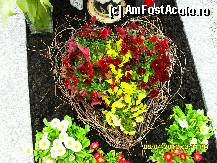 [P196] pe un alt mormant din curtea bisericii. » foto by adryana
 - 
<span class="allrVoted glyphicon glyphicon-heart hidden" id="av315213"></span>
<a class="m-l-10 hidden" id="sv315213" onclick="voting_Foto_DelVot(,315213,8584)" role="button">șterge vot <span class="glyphicon glyphicon-remove"></span></a>
<a id="v9315213" class=" c-red"  onclick="voting_Foto_SetVot(315213)" role="button"><span class="glyphicon glyphicon-heart-empty"></span> <b>LIKE</b> = Votează poza</a> <img class="hidden"  id="f315213W9" src="/imagini/loader.gif" border="0" /><span class="AjErrMes hidden" id="e315213ErM"></span>
