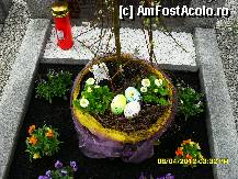 [P197] pe un alt mormant din curtea bisericii. » foto by adryana
 - 
<span class="allrVoted glyphicon glyphicon-heart hidden" id="av315214"></span>
<a class="m-l-10 hidden" id="sv315214" onclick="voting_Foto_DelVot(,315214,8584)" role="button">șterge vot <span class="glyphicon glyphicon-remove"></span></a>
<a id="v9315214" class=" c-red"  onclick="voting_Foto_SetVot(315214)" role="button"><span class="glyphicon glyphicon-heart-empty"></span> <b>LIKE</b> = Votează poza</a> <img class="hidden"  id="f315214W9" src="/imagini/loader.gif" border="0" /><span class="AjErrMes hidden" id="e315214ErM"></span>