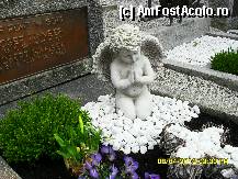 [P198] pe un alt mormant din curtea bisericii. » foto by adryana
 - 
<span class="allrVoted glyphicon glyphicon-heart hidden" id="av315215"></span>
<a class="m-l-10 hidden" id="sv315215" onclick="voting_Foto_DelVot(,315215,8584)" role="button">șterge vot <span class="glyphicon glyphicon-remove"></span></a>
<a id="v9315215" class=" c-red"  onclick="voting_Foto_SetVot(315215)" role="button"><span class="glyphicon glyphicon-heart-empty"></span> <b>LIKE</b> = Votează poza</a> <img class="hidden"  id="f315215W9" src="/imagini/loader.gif" border="0" /><span class="AjErrMes hidden" id="e315215ErM"></span>
