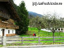 [P219] Casa din Niederhart. » foto by adryana
 - 
<span class="allrVoted glyphicon glyphicon-heart hidden" id="av315236"></span>
<a class="m-l-10 hidden" id="sv315236" onclick="voting_Foto_DelVot(,315236,8584)" role="button">șterge vot <span class="glyphicon glyphicon-remove"></span></a>
<a id="v9315236" class=" c-red"  onclick="voting_Foto_SetVot(315236)" role="button"><span class="glyphicon glyphicon-heart-empty"></span> <b>LIKE</b> = Votează poza</a> <img class="hidden"  id="f315236W9" src="/imagini/loader.gif" border="0" /><span class="AjErrMes hidden" id="e315236ErM"></span>
