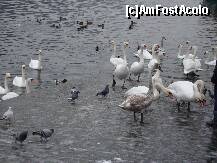 [P13]  -- <small>// FĂRĂ DESCRIERE</small> » foto by chucky31*
 - 
<span class="allrVoted glyphicon glyphicon-heart hidden" id="av187260"></span>
<a class="m-l-10 hidden" id="sv187260" onclick="voting_Foto_DelVot(,187260,8602)" role="button">șterge vot <span class="glyphicon glyphicon-remove"></span></a>
<a id="v9187260" class=" c-red"  onclick="voting_Foto_SetVot(187260)" role="button"><span class="glyphicon glyphicon-heart-empty"></span> <b>LIKE</b> = Votează poza</a> <img class="hidden"  id="f187260W9" src="/imagini/loader.gif" border="0" /><span class="AjErrMes hidden" id="e187260ErM"></span>