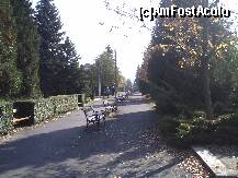 [P10] Una dintre aleile din stațiune. Dimineața și spre seară foarte mulți ieșeau să alerge aici. Adevărul este că stațiunea îți inspiră dorința de a duce o viață sănătoasă, activă. » foto by paky202
 - 
<span class="allrVoted glyphicon glyphicon-heart hidden" id="av187629"></span>
<a class="m-l-10 hidden" id="sv187629" onclick="voting_Foto_DelVot(,187629,8605)" role="button">șterge vot <span class="glyphicon glyphicon-remove"></span></a>
<a id="v9187629" class=" c-red"  onclick="voting_Foto_SetVot(187629)" role="button"><span class="glyphicon glyphicon-heart-empty"></span> <b>LIKE</b> = Votează poza</a> <img class="hidden"  id="f187629W9" src="/imagini/loader.gif" border="0" /><span class="AjErrMes hidden" id="e187629ErM"></span>