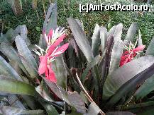 [P43] alta minunatie » foto by barbu minel
 - 
<span class="allrVoted glyphicon glyphicon-heart hidden" id="av191859"></span>
<a class="m-l-10 hidden" id="sv191859" onclick="voting_Foto_DelVot(,191859,8613)" role="button">șterge vot <span class="glyphicon glyphicon-remove"></span></a>
<a id="v9191859" class=" c-red"  onclick="voting_Foto_SetVot(191859)" role="button"><span class="glyphicon glyphicon-heart-empty"></span> <b>LIKE</b> = Votează poza</a> <img class="hidden"  id="f191859W9" src="/imagini/loader.gif" border="0" /><span class="AjErrMes hidden" id="e191859ErM"></span>