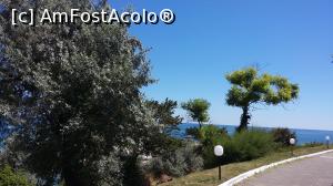 [P03] Marea de azur » foto by FrancescaClara
 - 
<span class="allrVoted glyphicon glyphicon-heart hidden" id="av763475"></span>
<a class="m-l-10 hidden" id="sv763475" onclick="voting_Foto_DelVot(,763475,8635)" role="button">șterge vot <span class="glyphicon glyphicon-remove"></span></a>
<a id="v9763475" class=" c-red"  onclick="voting_Foto_SetVot(763475)" role="button"><span class="glyphicon glyphicon-heart-empty"></span> <b>LIKE</b> = Votează poza</a> <img class="hidden"  id="f763475W9" src="/imagini/loader.gif" border="0" /><span class="AjErrMes hidden" id="e763475ErM"></span>