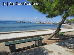 [P17] Pe malul mării, în Aegina » foto by crismis
 - 
<span class="allrVoted glyphicon glyphicon-heart hidden" id="av804139"></span>
<a class="m-l-10 hidden" id="sv804139" onclick="voting_Foto_DelVot(,804139,8651)" role="button">șterge vot <span class="glyphicon glyphicon-remove"></span></a>
<a id="v9804139" class=" c-red"  onclick="voting_Foto_SetVot(804139)" role="button"><span class="glyphicon glyphicon-heart-empty"></span> <b>LIKE</b> = Votează poza</a> <img class="hidden"  id="f804139W9" src="/imagini/loader.gif" border="0" /><span class="AjErrMes hidden" id="e804139ErM"></span>