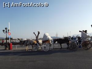 [P29] Caleşti în aşteptarea muşteriilor » foto by irinad
 - 
<span class="allrVoted glyphicon glyphicon-heart hidden" id="av1063927"></span>
<a class="m-l-10 hidden" id="sv1063927" onclick="voting_Foto_DelVot(,1063927,8651)" role="button">șterge vot <span class="glyphicon glyphicon-remove"></span></a>
<a id="v91063927" class=" c-red"  onclick="voting_Foto_SetVot(1063927)" role="button"><span class="glyphicon glyphicon-heart-empty"></span> <b>LIKE</b> = Votează poza</a> <img class="hidden"  id="f1063927W9" src="/imagini/loader.gif" border="0" /><span class="AjErrMes hidden" id="e1063927ErM"></span>