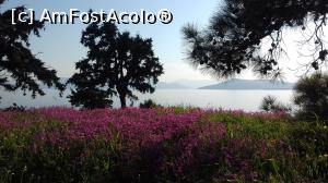 [P48] Privind spre mare din situl Kolonna » foto by irinad
 - 
<span class="allrVoted glyphicon glyphicon-heart hidden" id="av1063946"></span>
<a class="m-l-10 hidden" id="sv1063946" onclick="voting_Foto_DelVot(,1063946,8651)" role="button">șterge vot <span class="glyphicon glyphicon-remove"></span></a>
<a id="v91063946" class=" c-red"  onclick="voting_Foto_SetVot(1063946)" role="button"><span class="glyphicon glyphicon-heart-empty"></span> <b>LIKE</b> = Votează poza</a> <img class="hidden"  id="f1063946W9" src="/imagini/loader.gif" border="0" /><span class="AjErrMes hidden" id="e1063946ErM"></span>