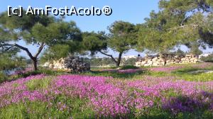 [P07] Situl antic Kolonna: ruine şi flori » foto by irinad
 - 
<span class="allrVoted glyphicon glyphicon-heart hidden" id="av1063905"></span>
<a class="m-l-10 hidden" id="sv1063905" onclick="voting_Foto_DelVot(,1063905,8651)" role="button">șterge vot <span class="glyphicon glyphicon-remove"></span></a>
<a id="v91063905" class=" c-red"  onclick="voting_Foto_SetVot(1063905)" role="button"><span class="glyphicon glyphicon-heart-empty"></span> <b>LIKE</b> = Votează poza</a> <img class="hidden"  id="f1063905W9" src="/imagini/loader.gif" border="0" /><span class="AjErrMes hidden" id="e1063905ErM"></span>