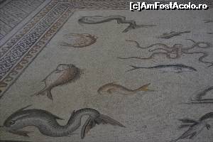 [P100] Vietati marine. Muzeul de Mozaicuri Zeugma. Gaziantep.  » foto by TraianS
 - 
<span class="allrVoted glyphicon glyphicon-heart hidden" id="av615138"></span>
<a class="m-l-10 hidden" id="sv615138" onclick="voting_Foto_DelVot(,615138,8659)" role="button">șterge vot <span class="glyphicon glyphicon-remove"></span></a>
<a id="v9615138" class=" c-red"  onclick="voting_Foto_SetVot(615138)" role="button"><span class="glyphicon glyphicon-heart-empty"></span> <b>LIKE</b> = Votează poza</a> <img class="hidden"  id="f615138W9" src="/imagini/loader.gif" border="0" /><span class="AjErrMes hidden" id="e615138ErM"></span>