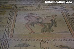 [P102] Muzeul de Mozaicuri Zeugma. Gaziantep.  » foto by TraianS
 - 
<span class="allrVoted glyphicon glyphicon-heart hidden" id="av615140"></span>
<a class="m-l-10 hidden" id="sv615140" onclick="voting_Foto_DelVot(,615140,8659)" role="button">șterge vot <span class="glyphicon glyphicon-remove"></span></a>
<a id="v9615140" class=" c-red"  onclick="voting_Foto_SetVot(615140)" role="button"><span class="glyphicon glyphicon-heart-empty"></span> <b>LIKE</b> = Votează poza</a> <img class="hidden"  id="f615140W9" src="/imagini/loader.gif" border="0" /><span class="AjErrMes hidden" id="e615140ErM"></span>