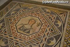 [P96] Muzeul de Mozaicuri Zeugma. Gaziantep.  » foto by TraianS
 - 
<span class="allrVoted glyphicon glyphicon-heart hidden" id="av615134"></span>
<a class="m-l-10 hidden" id="sv615134" onclick="voting_Foto_DelVot(,615134,8659)" role="button">șterge vot <span class="glyphicon glyphicon-remove"></span></a>
<a id="v9615134" class=" c-red"  onclick="voting_Foto_SetVot(615134)" role="button"><span class="glyphicon glyphicon-heart-empty"></span> <b>LIKE</b> = Votează poza</a> <img class="hidden"  id="f615134W9" src="/imagini/loader.gif" border="0" /><span class="AjErrMes hidden" id="e615134ErM"></span>