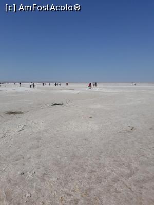 [P02] Marea Moarta? Salar de Uyuni? nu! ceva mult mai aproape! Tuz Golu » foto by nrs †
 - 
<span class="allrVoted glyphicon glyphicon-heart hidden" id="av1008808"></span>
<a class="m-l-10 hidden" id="sv1008808" onclick="voting_Foto_DelVot(,1008808,8659)" role="button">șterge vot <span class="glyphicon glyphicon-remove"></span></a>
<a id="v91008808" class=" c-red"  onclick="voting_Foto_SetVot(1008808)" role="button"><span class="glyphicon glyphicon-heart-empty"></span> <b>LIKE</b> = Votează poza</a> <img class="hidden"  id="f1008808W9" src="/imagini/loader.gif" border="0" /><span class="AjErrMes hidden" id="e1008808ErM"></span>