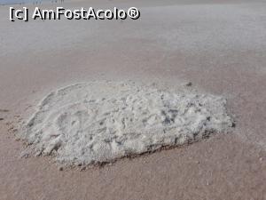[P07] sare e rosiatica de la alge » foto by nrs †
 - 
<span class="allrVoted glyphicon glyphicon-heart hidden" id="av1008818"></span>
<a class="m-l-10 hidden" id="sv1008818" onclick="voting_Foto_DelVot(,1008818,8659)" role="button">șterge vot <span class="glyphicon glyphicon-remove"></span></a>
<a id="v91008818" class=" c-red"  onclick="voting_Foto_SetVot(1008818)" role="button"><span class="glyphicon glyphicon-heart-empty"></span> <b>LIKE</b> = Votează poza</a> <img class="hidden"  id="f1008818W9" src="/imagini/loader.gif" border="0" /><span class="AjErrMes hidden" id="e1008818ErM"></span>
