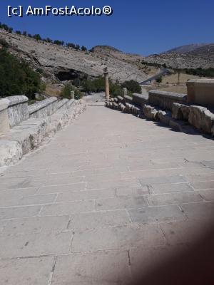 [P35] am mers pe podul construit de romani » foto by adrianbogdan
 - 
<span class="allrVoted glyphicon glyphicon-heart hidden" id="av1025517"></span>
<a class="m-l-10 hidden" id="sv1025517" onclick="voting_Foto_DelVot(,1025517,8659)" role="button">șterge vot <span class="glyphicon glyphicon-remove"></span></a>
<a id="v91025517" class=" c-red"  onclick="voting_Foto_SetVot(1025517)" role="button"><span class="glyphicon glyphicon-heart-empty"></span> <b>LIKE</b> = Votează poza</a> <img class="hidden"  id="f1025517W9" src="/imagini/loader.gif" border="0" /><span class="AjErrMes hidden" id="e1025517ErM"></span>