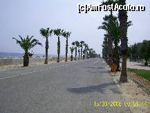 [P03]  -- <small>// FĂRĂ DESCRIERE</small> » foto by ilincutei c*
 - 
<span class="allrVoted glyphicon glyphicon-heart hidden" id="av162404"></span>
<a class="m-l-10 hidden" id="sv162404" onclick="voting_Foto_DelVot(,162404,8662)" role="button">șterge vot <span class="glyphicon glyphicon-remove"></span></a>
<a id="v9162404" class=" c-red"  onclick="voting_Foto_SetVot(162404)" role="button"><span class="glyphicon glyphicon-heart-empty"></span> <b>LIKE</b> = Votează poza</a> <img class="hidden"  id="f162404W9" src="/imagini/loader.gif" border="0" /><span class="AjErrMes hidden" id="e162404ErM"></span>