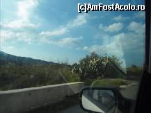 [P31] Cactusu asta, turcii il numesc 'Babutsa'. Face niste fructe care sunt bune de mancat. Fructele se aduna cu un fel de clopote in varful unui bat, deoarece sunt pline de tepi. » foto by TraianS
 - 
<span class="allrVoted glyphicon glyphicon-heart hidden" id="av189944"></span>
<a class="m-l-10 hidden" id="sv189944" onclick="voting_Foto_DelVot(,189944,8662)" role="button">șterge vot <span class="glyphicon glyphicon-remove"></span></a>
<a id="v9189944" class=" c-red"  onclick="voting_Foto_SetVot(189944)" role="button"><span class="glyphicon glyphicon-heart-empty"></span> <b>LIKE</b> = Votează poza</a> <img class="hidden"  id="f189944W9" src="/imagini/loader.gif" border="0" /><span class="AjErrMes hidden" id="e189944ErM"></span>