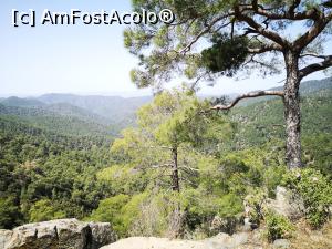 [P05] Munții Troodos, în drum spre Mânăstirea Kikkos » foto by crismis
 - 
<span class="allrVoted glyphicon glyphicon-heart hidden" id="av1228648"></span>
<a class="m-l-10 hidden" id="sv1228648" onclick="voting_Foto_DelVot(,1228648,8662)" role="button">șterge vot <span class="glyphicon glyphicon-remove"></span></a>
<a id="v91228648" class=" c-red"  onclick="voting_Foto_SetVot(1228648)" role="button"><span class="glyphicon glyphicon-heart-empty"></span> <b>LIKE</b> = Votează poza</a> <img class="hidden"  id="f1228648W9" src="/imagini/loader.gif" border="0" /><span class="AjErrMes hidden" id="e1228648ErM"></span>