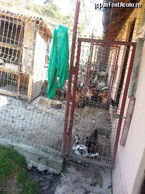 [P36] La animale: Gastele, ratele, gainile, iepurii puteau fi admirati in acest spatiu delimitat » foto by Dan&Ema
 - 
<span class="allrVoted glyphicon glyphicon-heart hidden" id="av548589"></span>
<a class="m-l-10 hidden" id="sv548589" onclick="voting_Foto_DelVot(,548589,8681)" role="button">șterge vot <span class="glyphicon glyphicon-remove"></span></a>
<a id="v9548589" class=" c-red"  onclick="voting_Foto_SetVot(548589)" role="button"><span class="glyphicon glyphicon-heart-empty"></span> <b>LIKE</b> = Votează poza</a> <img class="hidden"  id="f548589W9" src="/imagini/loader.gif" border="0" /><span class="AjErrMes hidden" id="e548589ErM"></span>