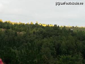 [P45] Si ultima fotografie adaugata; un cadru natural cu lumini si umbre obtinut prin zoomarea dealului de vis-a vis de pensiune » foto by Dan&Ema
 - 
<span class="allrVoted glyphicon glyphicon-heart hidden" id="av548598"></span>
<a class="m-l-10 hidden" id="sv548598" onclick="voting_Foto_DelVot(,548598,8681)" role="button">șterge vot <span class="glyphicon glyphicon-remove"></span></a>
<a id="v9548598" class=" c-red"  onclick="voting_Foto_SetVot(548598)" role="button"><span class="glyphicon glyphicon-heart-empty"></span> <b>LIKE</b> = Votează poza</a> <img class="hidden"  id="f548598W9" src="/imagini/loader.gif" border="0" /><span class="AjErrMes hidden" id="e548598ErM"></span>