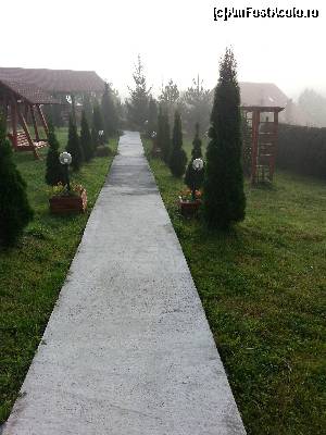 [P06] 11.08.2014 ora 8:00
Aleea flancata de arbori inalti de tuia de la corpul de 4 stele catre foisorul unde se servea de regula masa afara; in continuare ceva ceata » foto by Dan&Ema
 - 
<span class="allrVoted glyphicon glyphicon-heart hidden" id="av548556"></span>
<a class="m-l-10 hidden" id="sv548556" onclick="voting_Foto_DelVot(,548556,8681)" role="button">șterge vot <span class="glyphicon glyphicon-remove"></span></a>
<a id="v9548556" class=" c-red"  onclick="voting_Foto_SetVot(548556)" role="button"><span class="glyphicon glyphicon-heart-empty"></span> <b>LIKE</b> = Votează poza</a> <img class="hidden"  id="f548556W9" src="/imagini/loader.gif" border="0" /><span class="AjErrMes hidden" id="e548556ErM"></span>