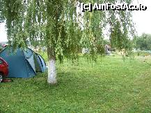 [P09] loc de campare broscarie/Simleul Silvaniei » foto by moldovan*
 - 
<span class="allrVoted glyphicon glyphicon-heart hidden" id="av199707"></span>
<a class="m-l-10 hidden" id="sv199707" onclick="voting_Foto_DelVot(,199707,8717)" role="button">șterge vot <span class="glyphicon glyphicon-remove"></span></a>
<a id="v9199707" class=" c-red"  onclick="voting_Foto_SetVot(199707)" role="button"><span class="glyphicon glyphicon-heart-empty"></span> <b>LIKE</b> = Votează poza</a> <img class="hidden"  id="f199707W9" src="/imagini/loader.gif" border="0" /><span class="AjErrMes hidden" id="e199707ErM"></span>