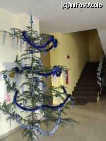 [P14] Hol in hotel » foto by monicutza
 - 
<span class="allrVoted glyphicon glyphicon-heart hidden" id="av192769"></span>
<a class="m-l-10 hidden" id="sv192769" onclick="voting_Foto_DelVot(,192769,8723)" role="button">șterge vot <span class="glyphicon glyphicon-remove"></span></a>
<a id="v9192769" class=" c-red"  onclick="voting_Foto_SetVot(192769)" role="button"><span class="glyphicon glyphicon-heart-empty"></span> <b>LIKE</b> = Votează poza</a> <img class="hidden"  id="f192769W9" src="/imagini/loader.gif" border="0" /><span class="AjErrMes hidden" id="e192769ErM"></span>