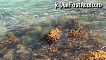 [P14] cam asa arata marea in Limasol » foto by roth
 - 
<span class="allrVoted glyphicon glyphicon-heart hidden" id="av193037"></span>
<a class="m-l-10 hidden" id="sv193037" onclick="voting_Foto_DelVot(,193037,8732)" role="button">șterge vot <span class="glyphicon glyphicon-remove"></span></a>
<a id="v9193037" class=" c-red"  onclick="voting_Foto_SetVot(193037)" role="button"><span class="glyphicon glyphicon-heart-empty"></span> <b>LIKE</b> = Votează poza</a> <img class="hidden"  id="f193037W9" src="/imagini/loader.gif" border="0" /><span class="AjErrMes hidden" id="e193037ErM"></span>